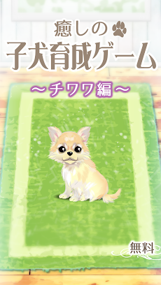 癒しの子犬育成ゲーム〜チワワ編〜のおすすめ画像1