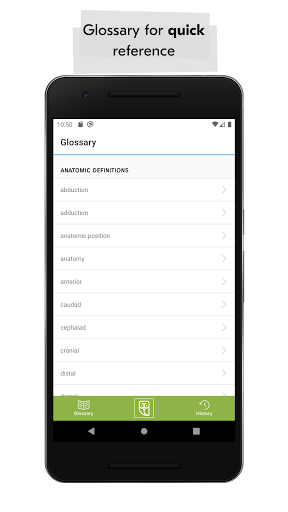 Medical Vocabulary Flashcards Screen 2