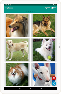 Dog Video Creator (Dog Sounds) スクリーンショット