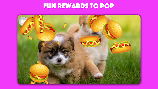 Paws & Claws: Cute Pet Puzzles Screen 3
