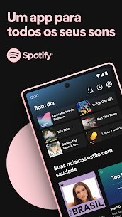 Spotify Premium APK Mod v8.8.18.509 Final 1