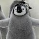 Penguins Wallpapers HD دانلود در ویندوز