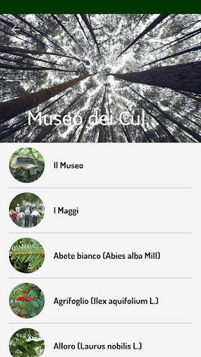 Museo dei culti arborei