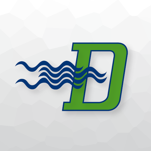 Dianflex B2B logo