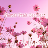 Beautiful Wallpaper Pastel Pink Cosmos Theme icon