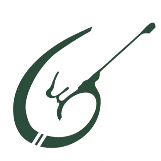 ShoTrack logo
