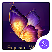 Exquisite Purple theme for Android free