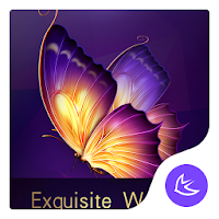 Exquisite Purple theme free