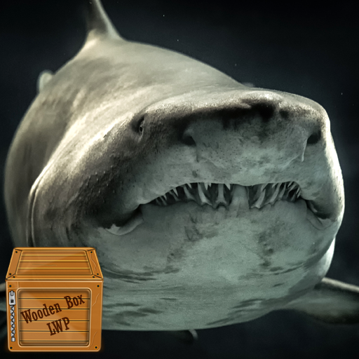 king shark wallpaper logo