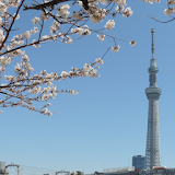 Japan:Tokyo Skytree (JP162) icon