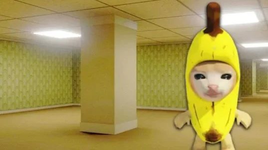 Cat Meme - Banana Series