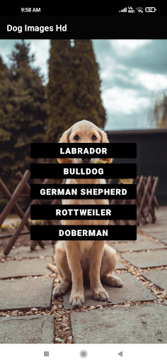 Android application Dog Images Hd 2022 screenshort