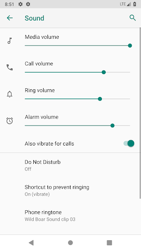 Wild Boar Sound Collections