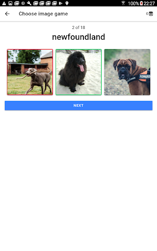 Dogs quiz