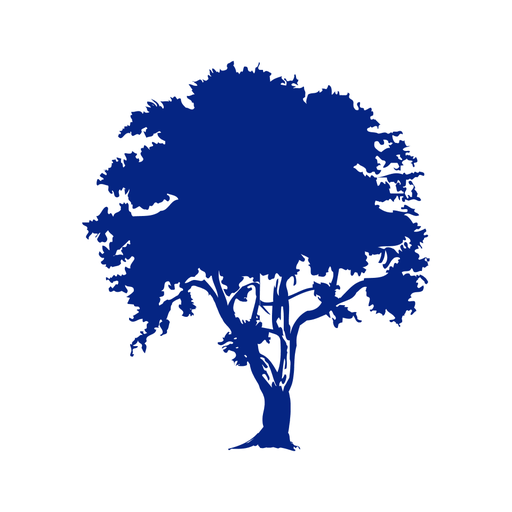 Casablanca Bourse logo