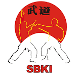 Shotokan Katas superiores icon