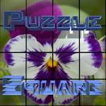 PuzzleSquare - Pack 1 Apk