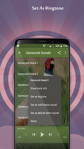 Gamecock Sounds Screen 3