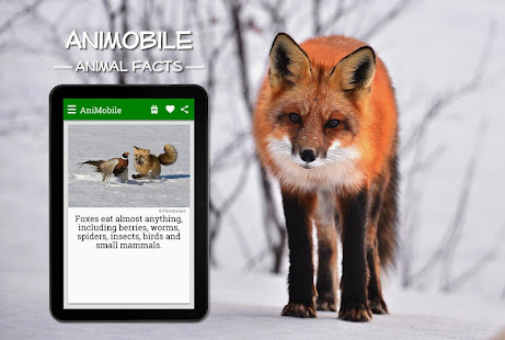 Funny Animal Facts with Pictures 6.6 APK screenshots 9