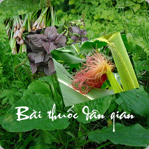 Bài thuốc dân gian - Hay và Bổ logo