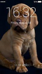 Puppy Lock Screen & Wallpaper