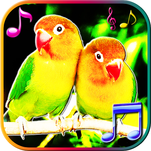 Birds Sounds & Live Wallpapers 1.1 Icon