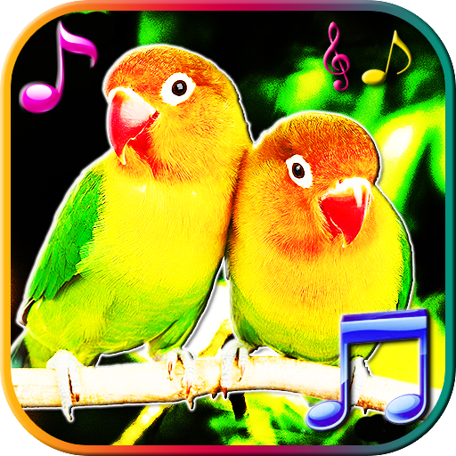 Birds Sounds & Live Wallpapers logo
