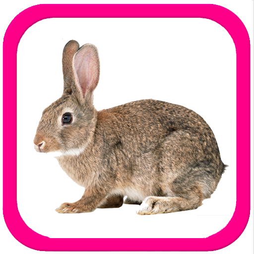 Учим животные для малышей logo