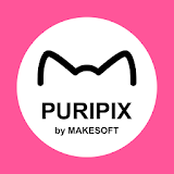 PURIPIX icon