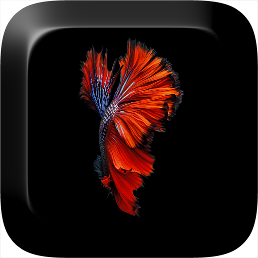 Fish 3D Live Wallpaper  Icon