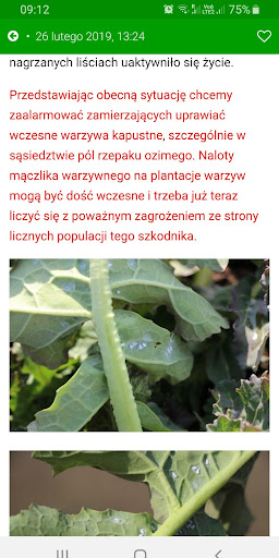 Komunikaty warzywnicze Screen 3