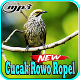 Kicau Burung Cucak Rowo Ropel Mp3 icon