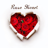 Wallpaper Rose Heart Theme