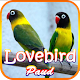Masteran Lovebird Paud Terbaru Download on Windows