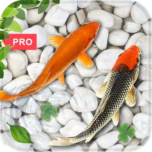 Fish Live Wallpaper : Koi Pro - Ứng Dụng Trên Google Play