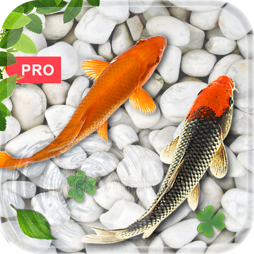 Fish Live Wallpaper : Koi PRO - Apps on Google Play