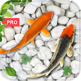 Fish Live Wallpaper 2021: Aquarium Koi PRO icon