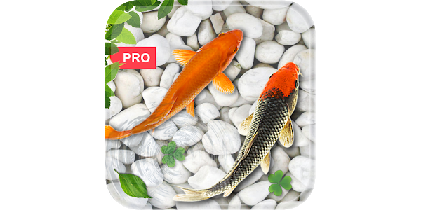 Fish Live Wallpaper : Koi PRO - Apps on Google Play