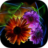 Flowers Backgrounds HD icon