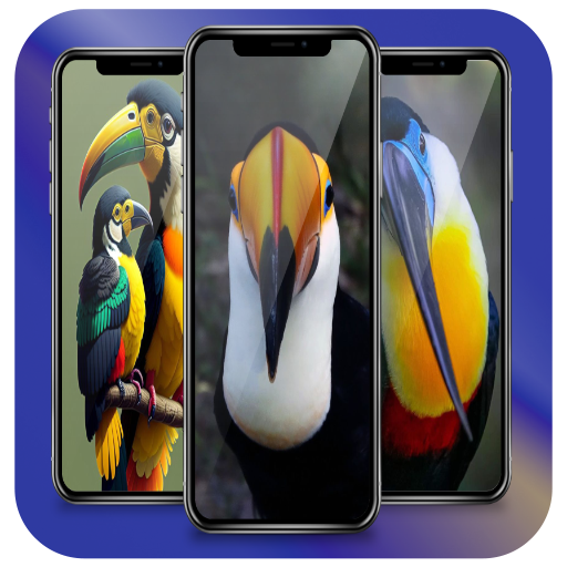 Toucan Wallpaper 4K logo