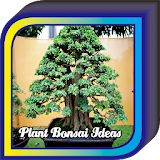 Plant Bonsai Ideas icon