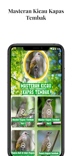 Android application Masteran Kicau Kapas Tembak screenshort