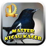 Master Kicau Burung Kacer icon