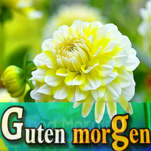 Guten Bilder Romantik Apps on Google Play