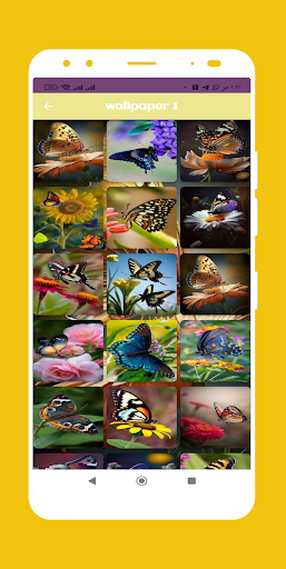 Butterfly wallpaper Screen 2