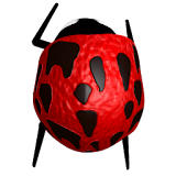 Bug Defense icon
