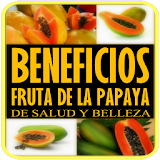 Beneficios de la Papaya icon