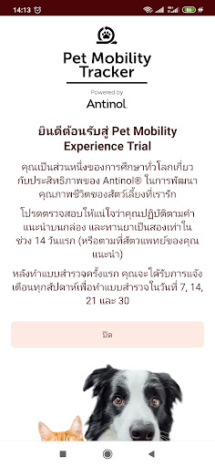 Antinol Pet Experience TH Screen 2