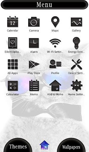 Cool Cat x Galaxy Theme Screen 2