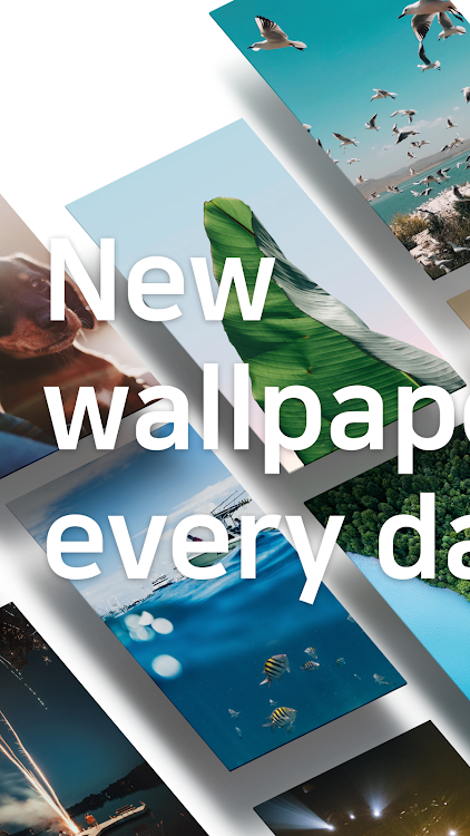Backgrounds HD (Wallpapers) - New - (Android)